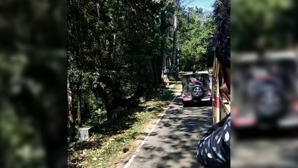 ആനയോ? അതുക്കും മേലെ ആനവണ്ടി — വീഡിയോ