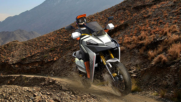 ഒറ്റ ചാര്‍ജില്‍ 300 കിലോമീറ്റര്‍, പുതിയ ഇലക്ട്രിക്ക് ബൈക്കുമായി ഗുഗു എനര്‍ജി