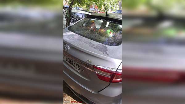 സാമൂഹ്യവിരുദ്ധരുടെ അഴിഞ്ഞാട്ടം, ആസിഡ് ആക്രമണങ്ങൾക്ക് ഇരയായി കാറുകൾ