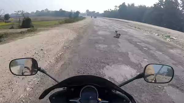 130 കിലോമീറ്റര്‍ വേഗത്തില്‍ ബ്രേക്ക് പിടിക്കുമ്പോള്‍, തലനാരിഴയ്ക്ക് രക്ഷപ്പെട്ട് ബൈക്ക് യാത്രികന്‍