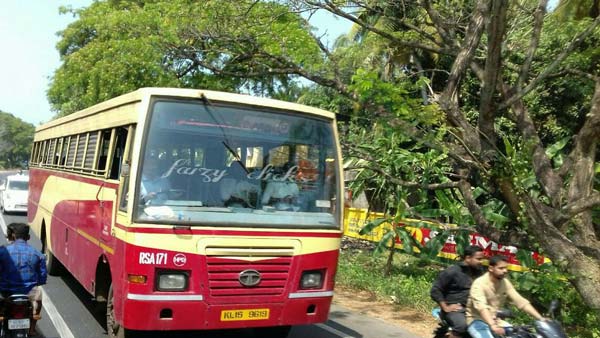 വളയിട്ട കൈകളില്‍ വളയം ഭദ്രം; കെഎസ്ആര്‍ടിസി വനിതാ ഡൈവറിന് സോഷ്യല്‍ മീഡിയയില്‍ കൈയടി