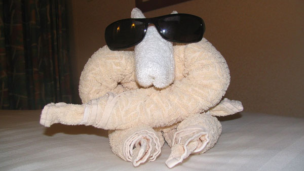 വെള്ളത്തിൽ ഒഴുകുന്ന പറുദീസകളായ ക്രൂസ് കപ്പലുകളിലെ ചില കൗതുക കാര്യങ്ങൾ 