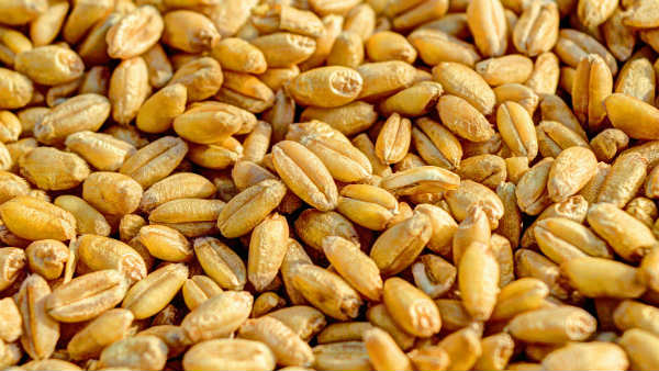 രാജ്യത്തെ ആദ്യ ഇലക്ട്രിക് ട്രാക്ടറിനെ അവതരിപ്പിച്ച് സ്റ്റാർട്ടപ്പ് കമ്പനി