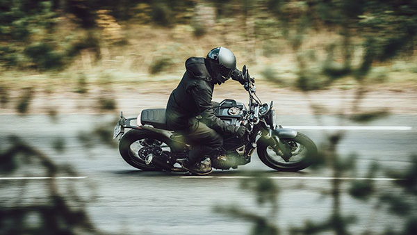 അരങ്ങേറ്റത്തിന് തയാറായി ഹസ്‌ഖ്‌വർണ 401 ഇരട്ടകൾ