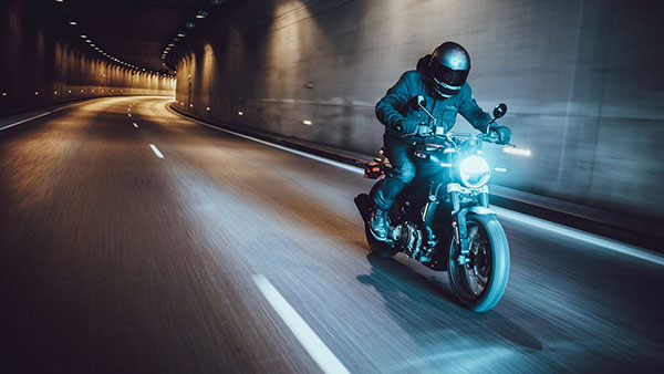 അരങ്ങേറ്റത്തിന് തയാറായി ഹസ്‌ഖ്‌വർണ 401 ഇരട്ടകൾ