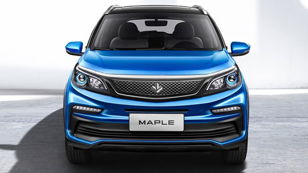 മാപ്പിൾ 30 X; ടാറ്റ നെക്സോണിന്റെ ചൈനീസ് അപരനെ പരിചയപ്പെടാം