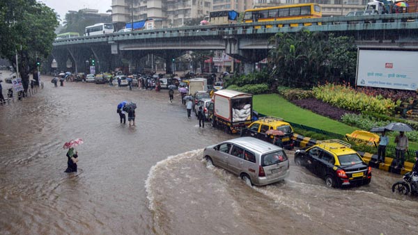 മഴയത്ത് മാൻഹോളിന് കാവൽ നിന്ന കാന്തയാണ് താരം