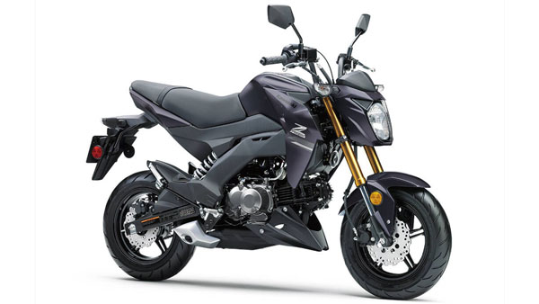 ചെറുതായൊന്ന് മിനുങ്ങി, 2021 മോഡൽ കവസാക്കി Z125 പ്രോ വിപണിയിൽ