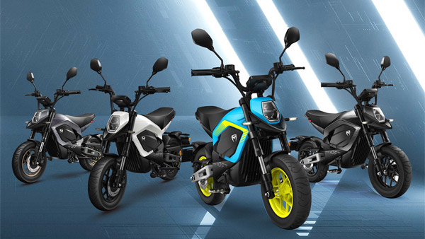 കാണാൻ ഏറെ കൗതുകം; മിനോ മങ്കി ബൈക്കിനെ പരിചയപ്പെടുത്തി ട്രോമോക്‌സ്