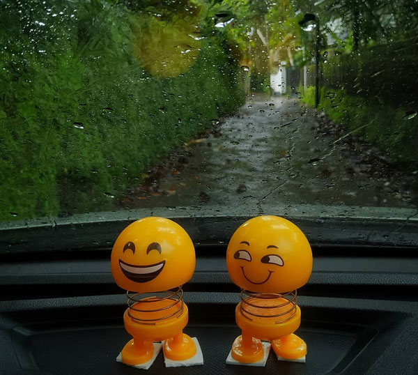 കാറിനുള്ളിൽ അലങ്കാരങ്ങൾ പാടില്ല; പുതിയ ഉത്തരവുമായി സംസ്ഥാന സർക്കാർ