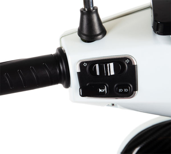 ടിവിഎസ് ഐക്യൂബിന് എതിരാളി, ഡാവോ 703 ഇലക്‌ട്രിക് സ്‌കൂട്ടർ ഇന്ത്യയിലും