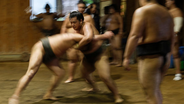 സുമോ ഗുസ്തിയിൽ നിന്നല്ല ടാറ്റ സുമോയുടെ പേരിന് പിന്നിലുള്ള യഥാർഥ കഥ