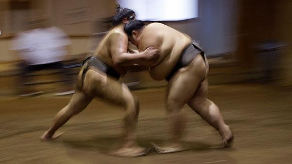 സുമോ ഗുസ്തിയിൽ നിന്നല്ല ടാറ്റ സുമോയുടെ പേരിന് പിന്നിലുള്ള യഥാർഥ കഥ