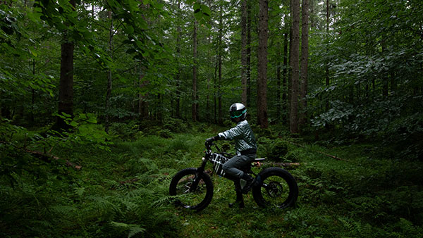 ഇലക്‌ട്രിക് സൈക്കിളോ അതോ മോട്ടോർബൈക്കോ? പരിചയപ്പെടാം BMW Vision AMBY 