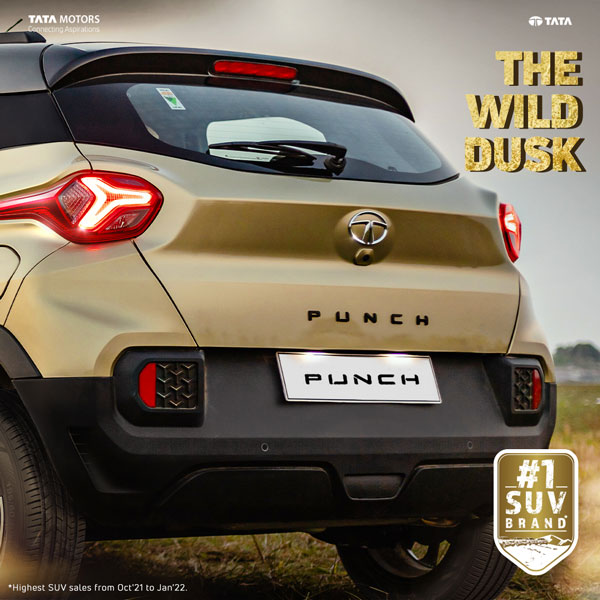 വെന്റിലേറ്റഡ് സീറ്റുകൾ ഉൾപ്പടെ കിടിലൻ 5 ഫീച്ചറുകൾ; Kaziranga Edition മോഡലുകൾ അവതരിപ്പിക്കാൻ തയാറെടുത്ത് Tata