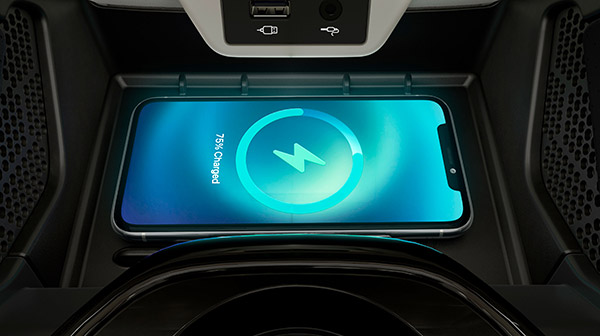 Harrier കാസിരംഗ പതിപ്പ്, കാസിരംഗ നാഷണല്‍ പാര്‍ക്കിന് സമ്മാനിച്ച് Tata