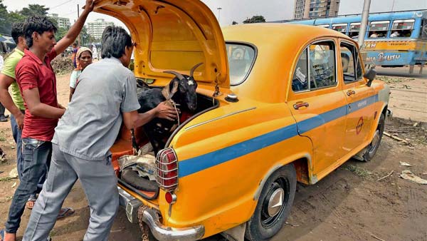 'കമോൺഡ്രാ അംബി'; പുതിയ തുറുപ്പ് ചീട്ടുമായി Hindustan Motors