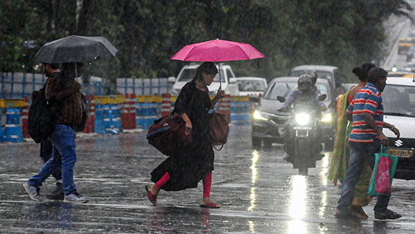 റോഡ് മുറിച്ച് കടക്കാൻ സീബ്രാലൈന്‍ തിരയണോ?; കോടതിക്ക് പറയാനുള്ളത് ഇതാണ്