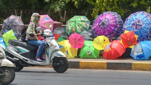 റോഡ് മുറിച്ച് കടക്കാൻ സീബ്രാലൈന്‍ തിരയണോ?; കോടതിക്ക് പറയാനുള്ളത് ഇതാണ്