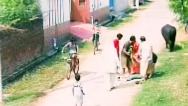 റോഡരികിലെ കന്നുകാലിയാണോ 'നമ്പാതെ'; പ്രകോപനമില്ലാതെ ബൈക്കിനെ ഇടിച്ച് തെറുപ്പിച്ച് പോത്ത്