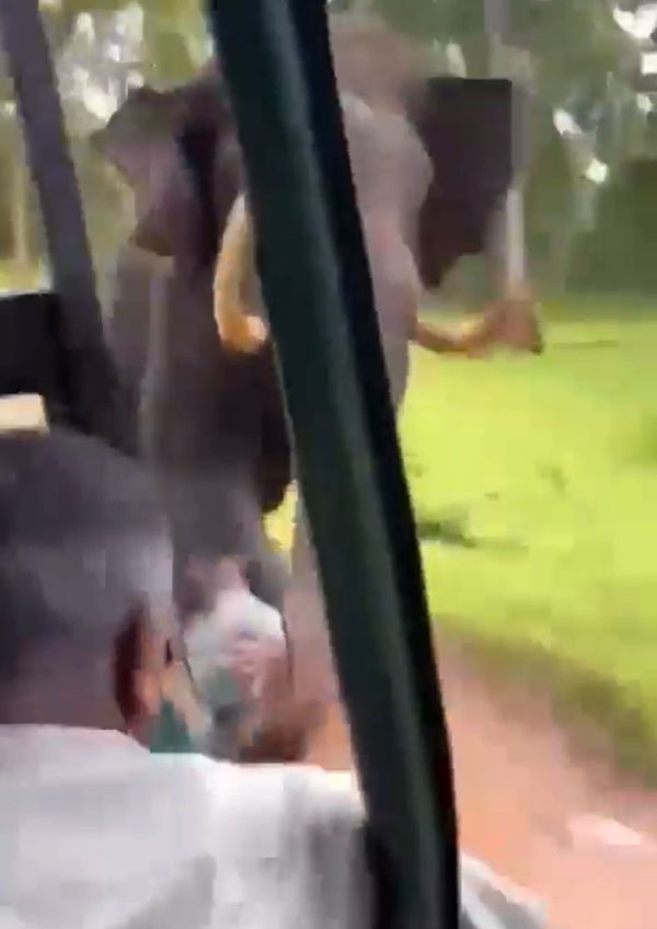  സ്‌കില്‍ എന്നാല്‍ ഇതാണ്; കുത്താന്‍ പാഞ്ഞ കൊമ്പനെ റിവേഴ്‌സ് അടിച്ച് തോല്‍പിച്ച് സഫാരി ജീപ്പ് ഡ്രൈവര്‍