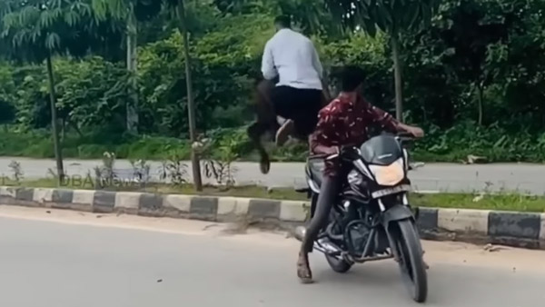 റോഡരികിലെ കന്നുകാലിയാണോ 'നമ്പാതെ'; പ്രകോപനമില്ലാതെ ബൈക്കിനെ ഇടിച്ച് തെറുപ്പിച്ച് പോത്ത്