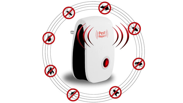 കാറില് എലി ശല്യമുണ്ടോ? ഇങ്ങനെ ചെയ്ത് നോക്കൂ... പിന്നെ ആ വഴിക്ക് വരില്ല കാറില് എലി ശല്യമുണ്ടോ? ഇങ്ങനെ ചെയ്ത് നോക്കൂ... പിന്നെ ആ വഴിക്ക് വരില്ല