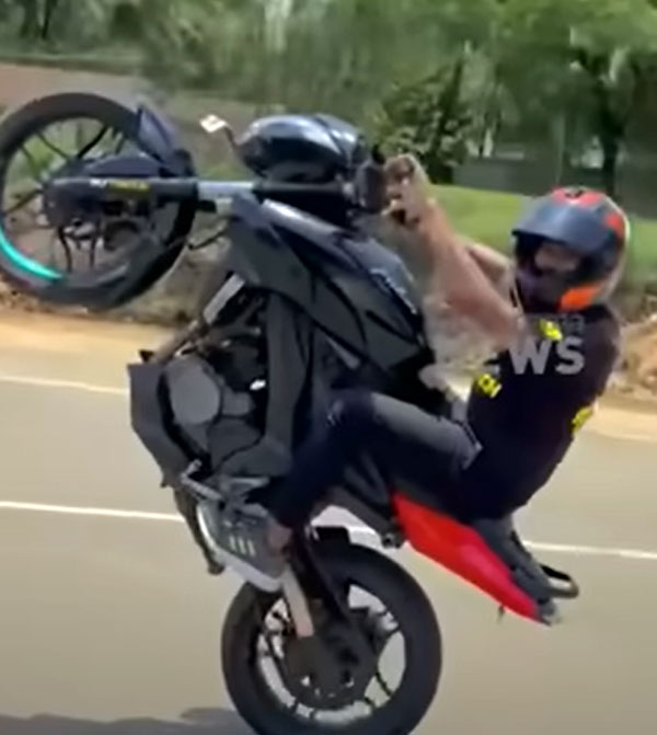 താക്കീത് വകവെക്കാതെ സ്റ്റണ്ടിംഗ് നടത്തി MVD-യെ 'കളിയാക്കി'; റൈഡറുടെ ലൈസന്‍സ് പോയി; ബൈക്ക് കസ്റ്റഡിയില്‍ 