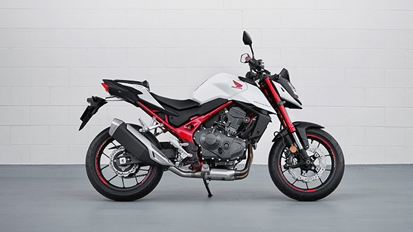 പുലിമടയിലെ പുതിയ പുലിക്കുട്ടി, മിഡിൽവെയ്റ്റ് സൂപ്പർബൈക്കായി രൂപമെടുത്ത് Honda Hornet