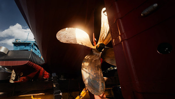 നീ പ്രൊപ്പല്ലർ എന്ന് കേട്ടിട്ടുണ്ടോടാ; ഒന്ന് വായിച്ചു നോക്കാൻ പറ്റുവോ സക്കീർ ഭായിക്ക്