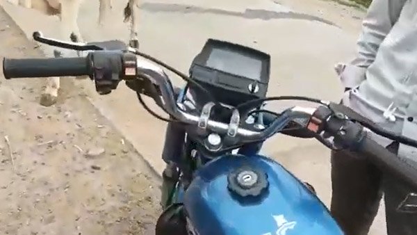 സീല്ക്കാരം കേട്ട് ബൈക്ക് സൈഡാക്കി; സ്പീഡോമീറ്ററിനുള്ളില് കണ്ടത് ഉഗ്രന് വിഷപ്പാമ്പിനെ സീല്ക്കാരം കേട്ട് ബൈക്ക് സൈഡാക്കി; സ്പീഡോമീറ്ററിനുള്ളില് കണ്ടത് ഉഗ്രന് വിഷപ്പാമ്പിനെ