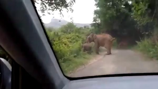 കബാലിയോടാ കളി; റിവേഴ്സെടുത്തോ മക്കളേ