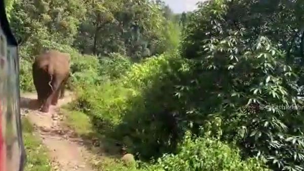 കബാലിയോടാ കളി; റിവേഴ്സെടുത്തോ മക്കളേ