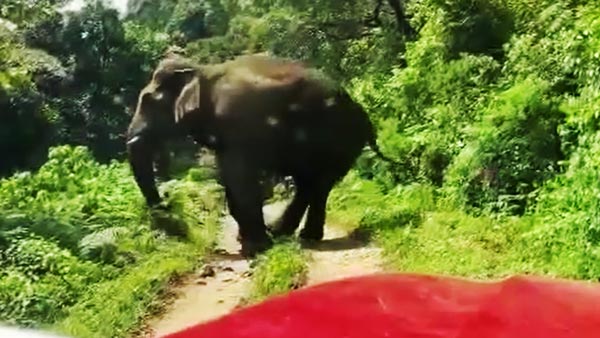 കബാലിയോടാ കളി; റിവേഴ്സെടുത്തോ മക്കളേ