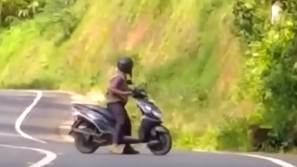 'റോഡില്‍ നിക്കാതെ കേറിപ്പോടാ'; ഫോറസ്റ്റ് വാച്ചര്‍ വിരട്ടി; സ്‌പോട്ടില്‍ റിവേഴ്‌സ് ഗിയറിട്ട് കാട്ടാന 