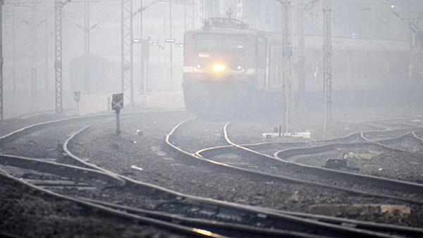 പോത്തിനോട് വേദം ഓതിയിട്ട് കാര്യമില്ല! മൃഗങ്ങൾ ട്രാക്കിലേക്ക് കടക്കാതിരിക്കാൻ അതിർത്തി മതിലുകൾ കെട്ടാൻ റെയിൽവേ