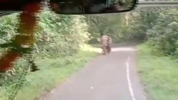 കബാലിയോടാ കളി; റിവേഴ്സെടുത്തോ മക്കളേ