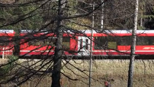 2 കി.മീ നീളം, 100 കോച്ചുകൾ; ഏറ്റവും നീളം കൂടിയ പാസഞ്ചർ ട്രെയിൻ ഓടിച്ച് സ്വിറ്റ്സർലൻഡ്