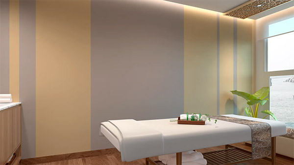 20 ലക്ഷം രൂപയ്ക്ക് 51 ദിവസം കപ്പൽ യാത്ര, എംവി ഗംഗാ വിലാസ് ഒരു സംഭവം തന്നെ