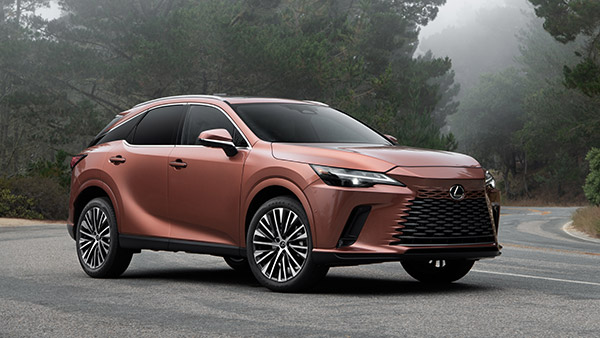 ഫെബ്രുവരി തകർക്കും! ഈ മാസം വിപണിയിൽ എത്താനിരിക്കുന്നത് കിടിലൻ മോഡലുകൾ