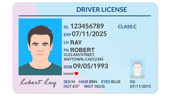 സംഭവം സിമ്പിളാ... അന്താരാഷ്ട്ര ഡ്രൈവിംഗ് ലൈസൻസിന് എങ്ങനെ അപേക്ഷിക്കാം? സംഭവം സിമ്പിളാ... അന്താരാഷ്ട്ര ഡ്രൈവിംഗ് ലൈസൻസിന് എങ്ങനെ അപേക്ഷിക്കാം?