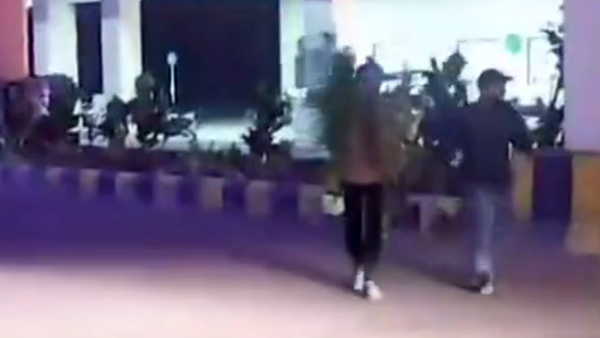 ആരാണ് ഒരു വെറൈറ്റി ആഗ്രഹിക്കാത്തത്; പൂച്ചട്ടി മോഷ്ടിക്കാൻ ആഢംബര കാർ