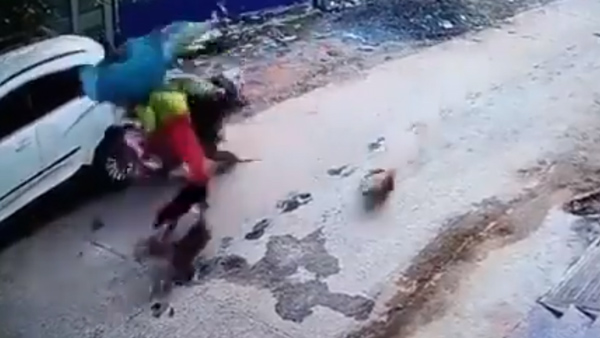 പിന്നാലെ വന്ന് കുരച്ച് വീഴ്ത്തും; അപകടത്തിൻ്റെ വീഡിയോ വൈറൽ; കുറച്ച് കാര്യങ്ങൾ ശ്രദ്ധിക്കണേ