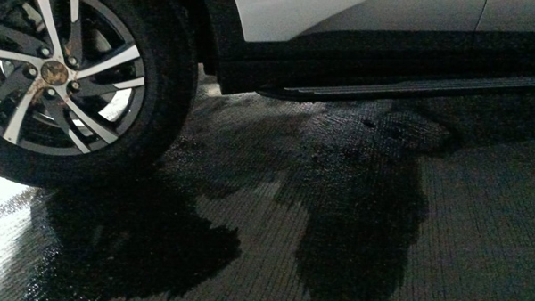 Mahindra Dealer Filled Diesel In Petrol XUV700 SUV