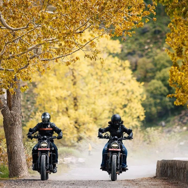 harley davidson x440