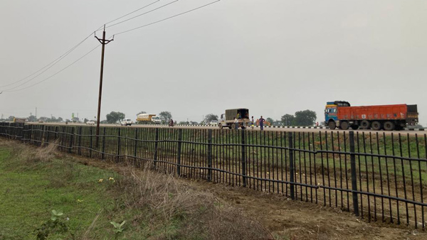 വേലി ചാടാതിരുന്നാൽ മതി; കന്നുകാലികളെ തടയാൻ ഹൈവേയിൽ ഫെൻസിങ്ങ്