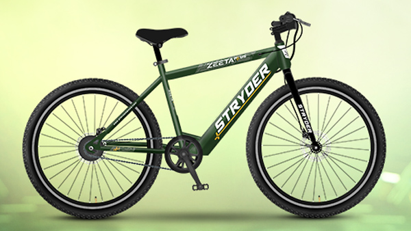 Stryder ZEETA PLUS E-Bike