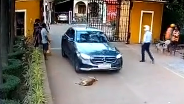mercedes runs over sleeping dog