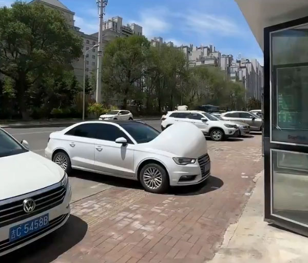 china pregnant cars