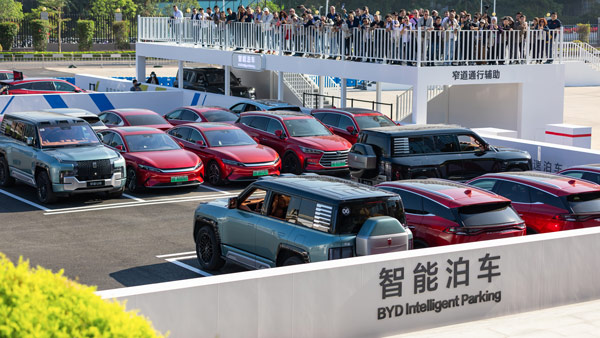 byd monthly sales
